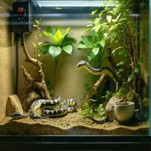 Considering Temperature and Lighting Considering Temperature and Lighting