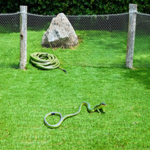 Creating Snake-Proof Barriers