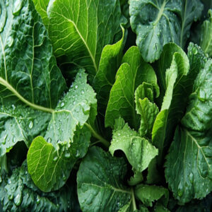 Dark Leafy Greens for Vitamins