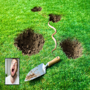 Dealing With Snake Holes in Your Yard