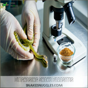 Diagnosing Snake Parasites