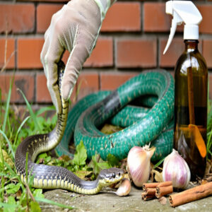 DIY Methods for Snake Removal