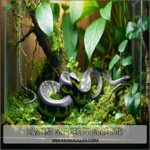 Easiest Snakes to Care For