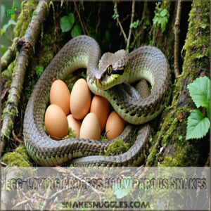 Egg-Laying Process in Oviparous Snakes