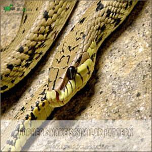 Gopher Snake