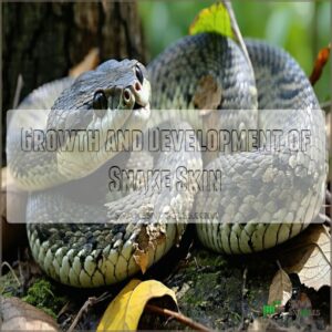 Growth and Development of Snake Skin