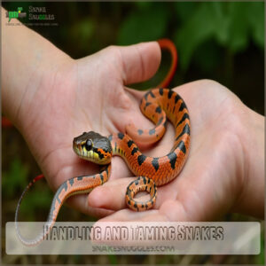 Handling and Taming Snakes