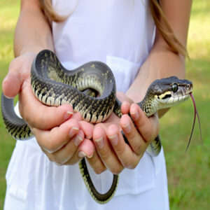 Handling Relaxed Snakes