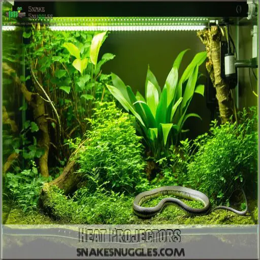 Image showcasing Ideal Temperature Corn Snake Enclosure: Perfect Heat & Humidity Setup