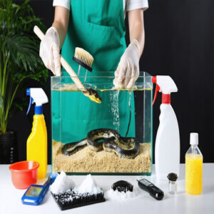 how to clean a snake tank