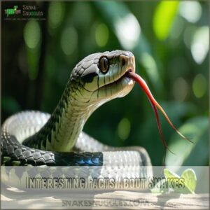 Interesting Facts About Snakes