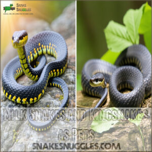 Milk Snakes and Kingsnakes as Pets