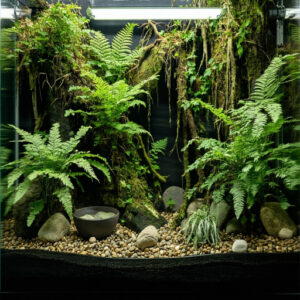 Natural-Looking Vivarium