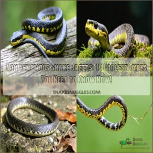 non venomous snake breeds