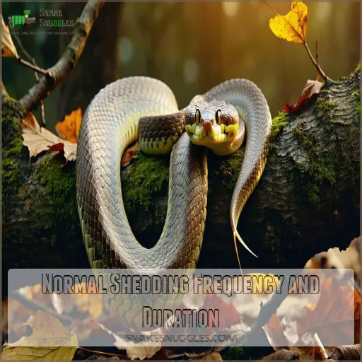 Illustration of Snake Humidity And Shedding Frequency