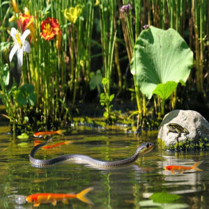 Opportunistic Feeding