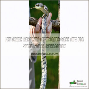 pet snake handling techniques