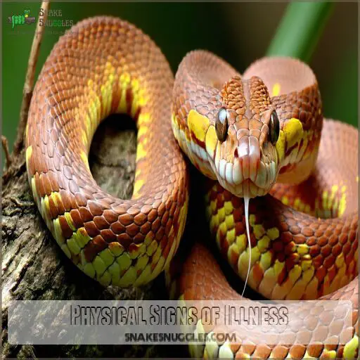 Early Signs of Snake Illness: 12 Warning Symptoms Every Owner Must Know