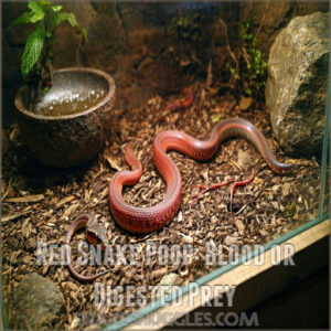 Red Snake Poop: Blood or Digested Prey