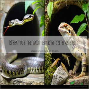 Reptile Behavior and Enrichment