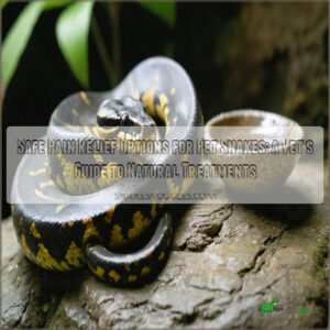 safe pain relief options for pet snakes