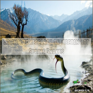 Scientific Research on Tibetan Hot Spring Snakes