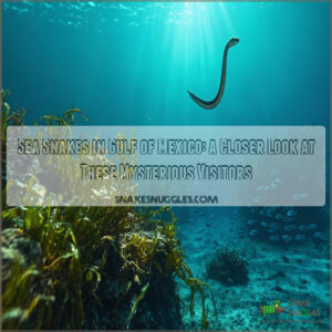 sea snakes in gulf of mexico