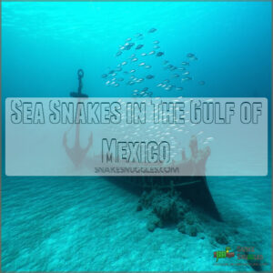 Sea Snakes in The Gulf of Mexico