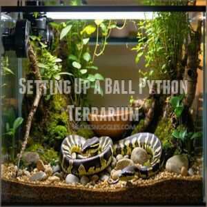 Setting Up a Ball Python Terrarium