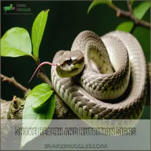 Snake Health and Nutrition Signs