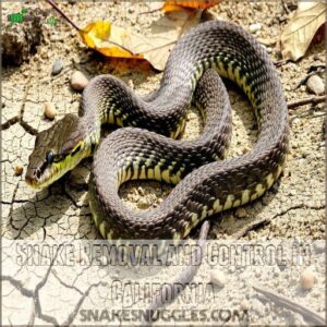 Snake Removal and Control in California