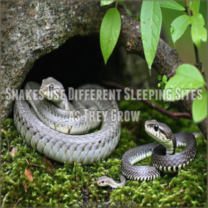 Snakes Use Different Sleeping Sites as They Grow