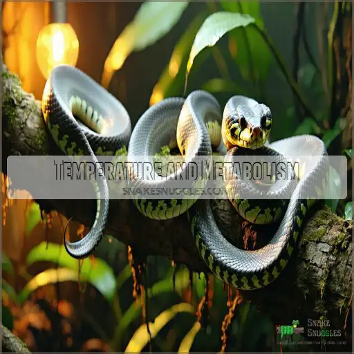 Boa Constrictor Growth Rate Chart Size, Age, and Factors Explained