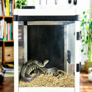 Tips for Setting Up a Secure and Escape-Proof Enclosure