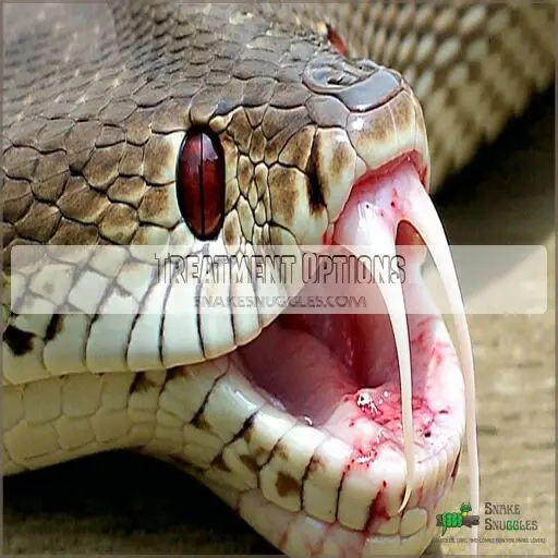 Reptile Skin Infection Treatment: Causes, Symptoms, and Best Solutions - Reptile Skin Bacterial Treatment
