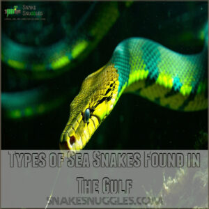 Types of Sea Snakes Found in The Gulf