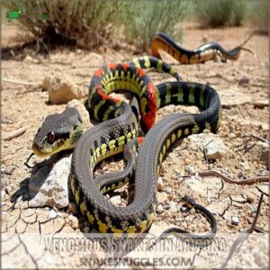 Venomous Snakes in Arizona