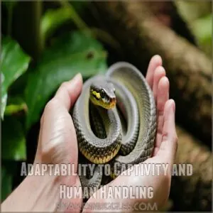 Adaptability to Captivity and Human Handling Adaptability to Captivity and Human Handling