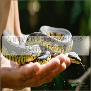 are boa constrictors safe pets are boa constrictors safe pets