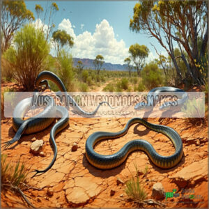 Australian Venomous Snakes