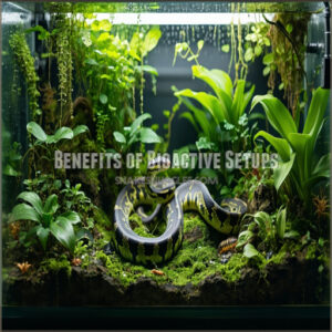 Benefits of Bioactive Setups