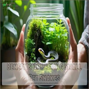 Benefits of Keeping Small Pet Snakes