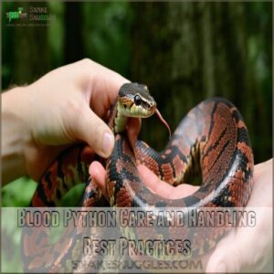 Blood Python Care and Handling Best Practices