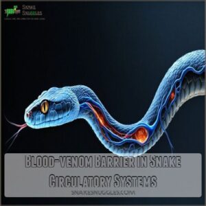 Blood-venom Barrier in Snake Circulatory Systems