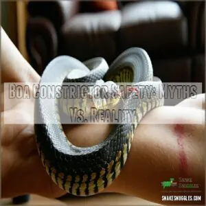 Boa Constrictor Safety: Myths Vs. Reality Boa Constrictor Safety: Myths Vs. Reality