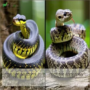 Body Coloration and Pattern Variations Body Coloration and Pattern Variations