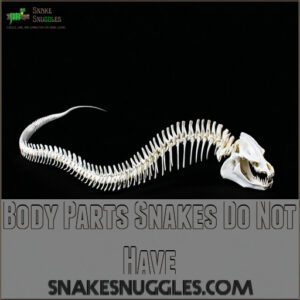 Body Parts Snakes Do Not Have