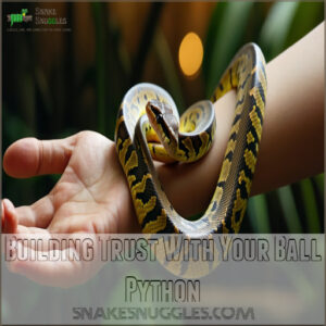 Building Trust With Your Ball Python