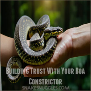 Building Trust With Your Boa Constrictor