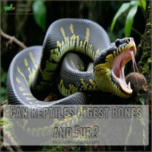 Can Reptiles Digest Bones and Fur